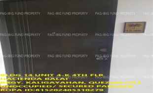 fil1520240624321
