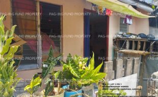 fil1520240624341