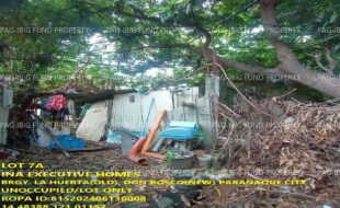 fil1520240701229