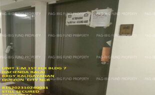 fil1520240708074