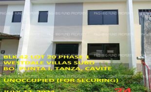 fil1520240715583