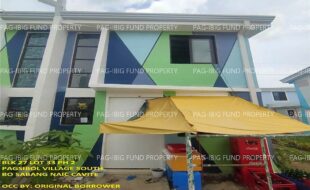 fil1520240717311