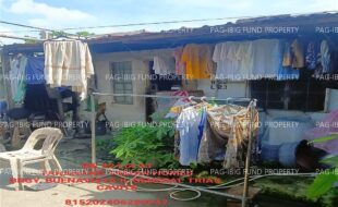 fil1520240718659