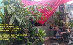 fil1520240723053