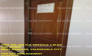 fil1520240731462