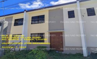 fil1520240808318