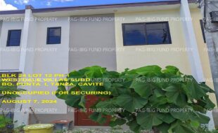 fil1520240808321