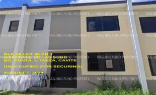 fil1520240808328