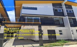 fil1520240808372