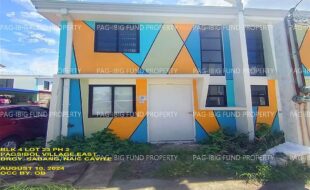 fil1520240812101