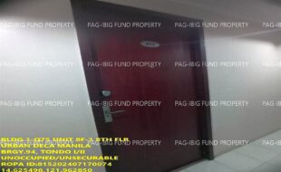 fil1520240812229