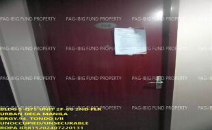fil1520240812253