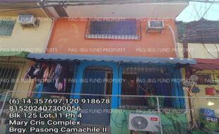 fil1520240813248