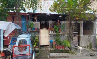 fil1520240816460