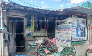 fil1520240817025