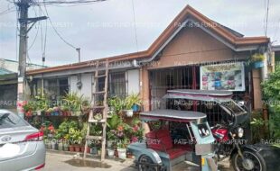 fil1520240817103