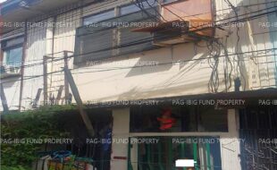 fil1520240817141