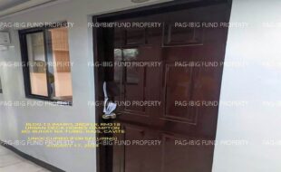 fil1520240817188