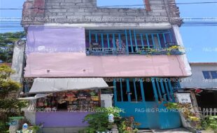 fil1520240823004