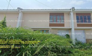 fil1520240827412