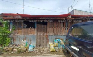 fil1520240829366