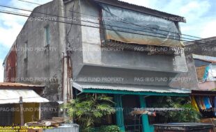 fil1520240831055