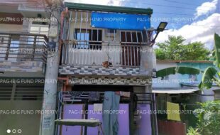 fil1520240831059