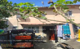 fil1520240831208