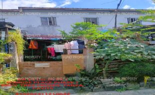 fil1520240907121