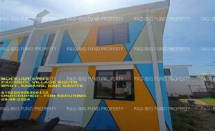 fil1520240910275