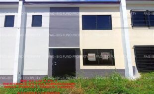 fil1520240914049