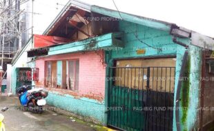 fil1520240918037