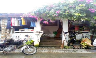 fil1520240918350
