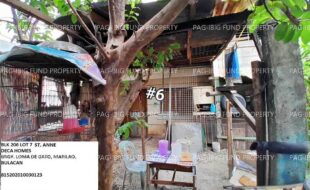 fil1520240924501