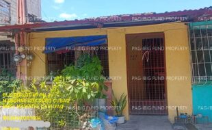 fil1520240924527