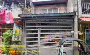 fil1520240925209