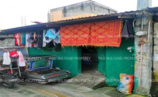 fil1520240926080