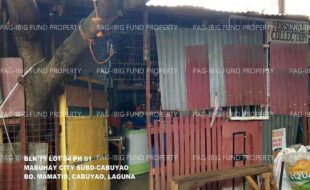 fil1520240926516