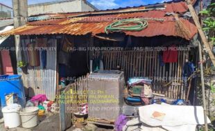 fil1520240926698