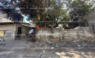 fil1520240926842
