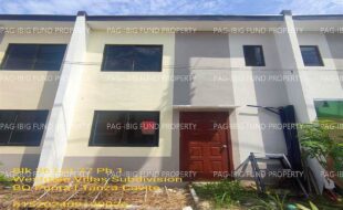 fil1520240927676