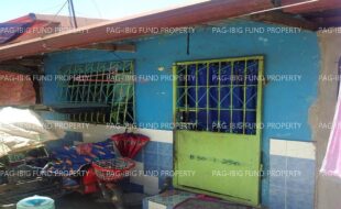fil1520240927808