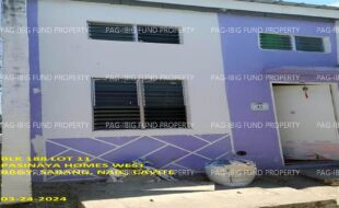 fil1520240928116