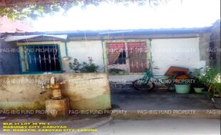 fil1520240928342
