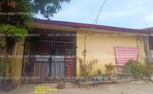 fil1520240928549