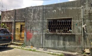 fil1520240928565