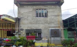 fil1520240930431