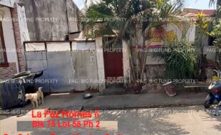 fil1520240930477