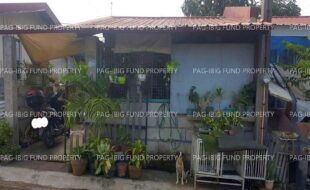 fil1520240930490