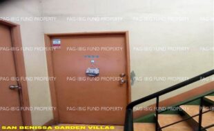 fil1520240930521